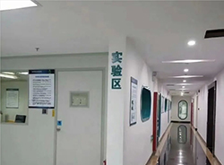 昭通私密亲子鉴定办理费用，昭通匿名亲子鉴定服务详解