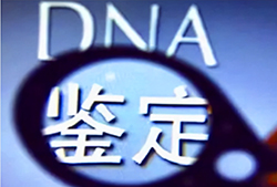 昭通妇保院可以做血缘检测吗，昭通医院办理亲子鉴定办理流程指南