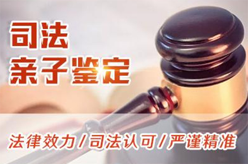 昭通司法亲子鉴定办理费用,昭通司法亲子鉴定需要怎么办理