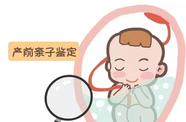 昭通如何鉴定胎儿的父亲是谁,昭通怀孕亲子鉴定多少钱的费用