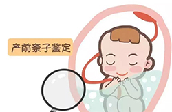 昭通肚子里胎儿与父亲如何做亲子鉴定，昭通无创产前亲子鉴定收费明细