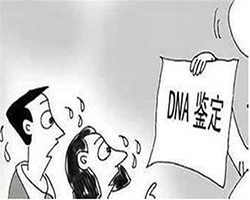昭通迁户亲子鉴定办理条件，昭通落户口亲子鉴定办理流程
