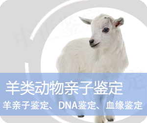 昭通羊类动物亲子鉴定