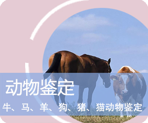 昭通动物鉴定