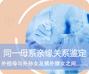 昭通同一母系亲缘关系鉴定