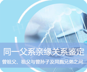 昭通同一父系亲缘鉴定