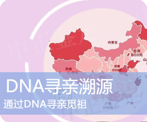 昭通DNA寻亲溯源